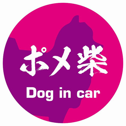 Dog in car ポメ柴 毛筆書体 ピンクパープル ステッカー 直径10cm 丸型 シール カーステッカー