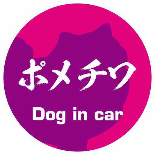 Dog in car ポメチワ 毛筆書体 ピンクパープル ステッカー 直径10cm 丸型 シール カーステッカー