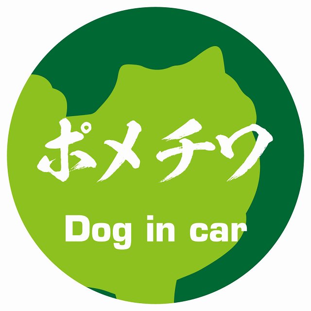 Dog in car ポメチワ 毛筆書体 グリーン ステッカー 直径10cm 丸型 シール カーステッカー