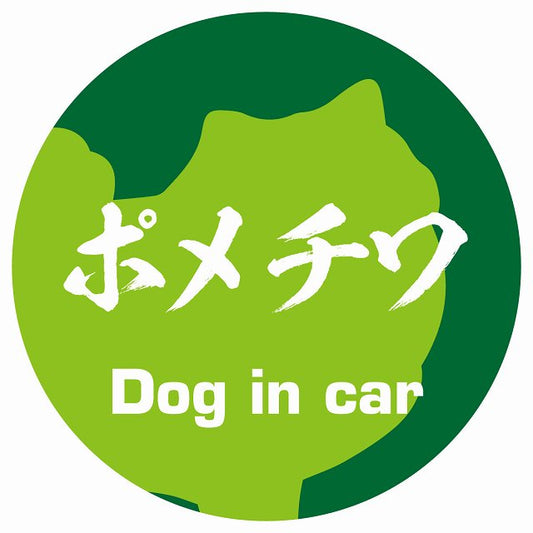 Dog in car ポメチワ 毛筆書体 グリーン ステッカー 直径10cm 丸型 シール カーステッカー