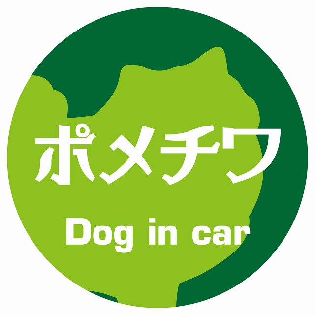 Dog in car ポメチワ レトロ書体 グリーン ステッカー 直径10cm 丸型 シール カーステッカー