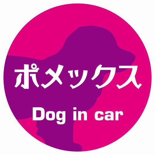 Dog in car ポメックス レトロ書体 ピンクパープル ステッカー 直径10cm 丸型 シール カーステッカー