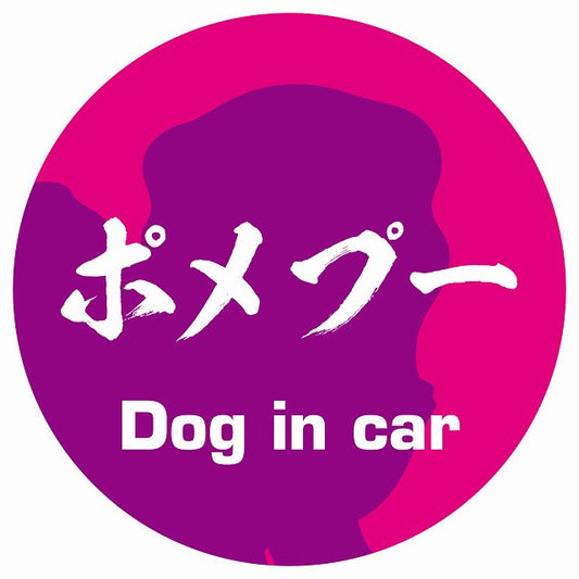 Dog in car ポメプー 毛筆書体 ピンクパープル ステッカー 直径10cm 丸型 シール カーステッカー