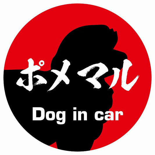 Dog in car ポメマル 毛筆書体 レッド ステッカー 直径10cm 丸型 シール カーステッカー