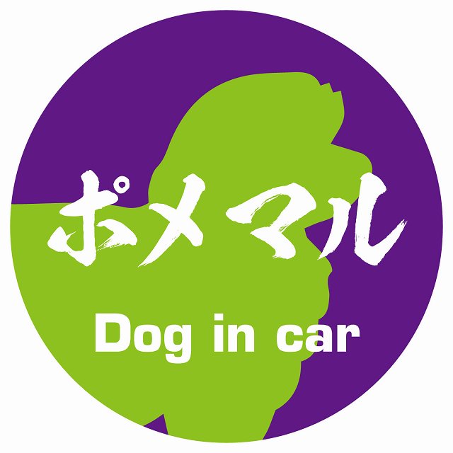 Dog in car ポメマル 毛筆書体 パープルグリーン ステッカー 直径10cm 丸型 シール カーステッカー