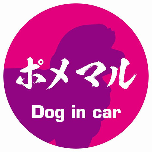 Dog in car ポメマル 毛筆書体 ピンクパープル ステッカー 直径10cm 丸型 シール カーステッカー