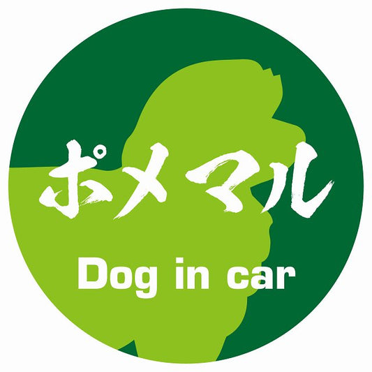 Dog in car ポメマル 毛筆書体 グリーン ステッカー 直径10cm 丸型 シール カーステッカー