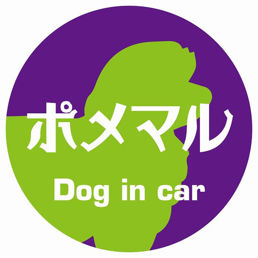 Dog in car ポメマル レトロ書体 パープルグリーン ステッカー 直径10cm 丸型 シール カーステッカー