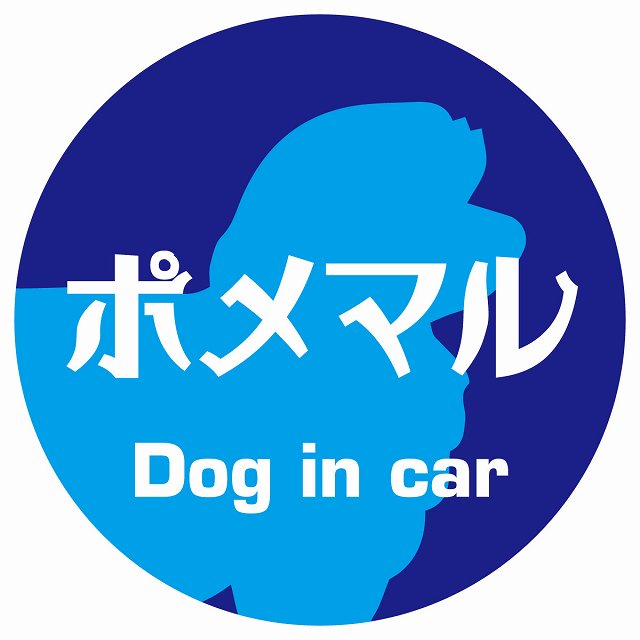 Dog in car ポメマル レトロ書体 ブルー ステッカー 直径10cm 丸型 シール カーステッカー