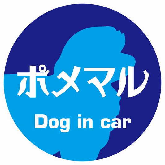 Dog in car ポメマル レトロ書体 ブルー ステッカー 直径10cm 丸型 シール カーステッカー