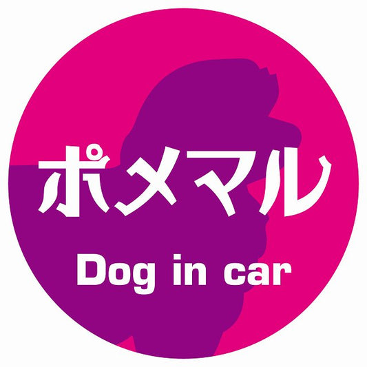 Dog in car ポメマル レトロ書体 ピンクパープル ステッカー 直径10cm 丸型 シール カーステッカー