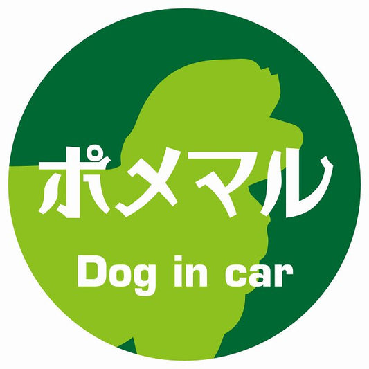 Dog in car ポメマル レトロ書体 グリーン ステッカー 直径10cm 丸型 シール カーステッカー