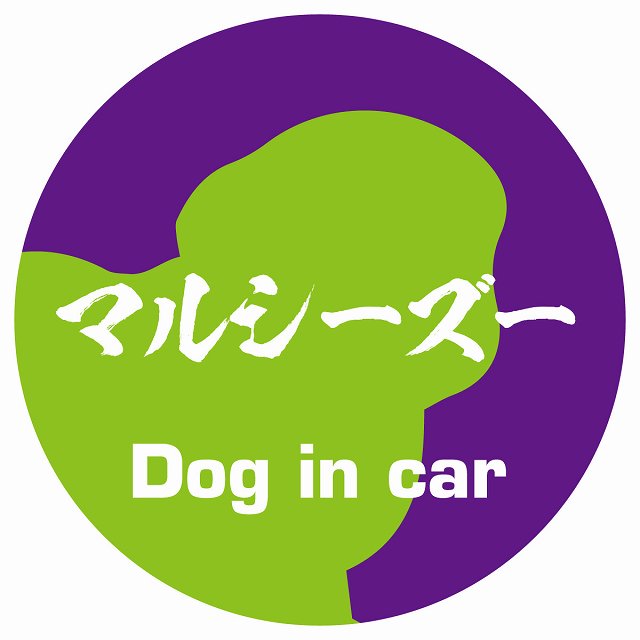 Dog in car マルシーズー 毛筆書体 パープルグリーン ステッカー 直径10cm 丸型 シール カーステッカー