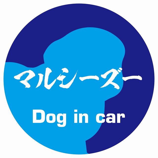 Dog in car マルシーズー 毛筆書体 ブルー ステッカー 直径10cm 丸型 シール カーステッカー
