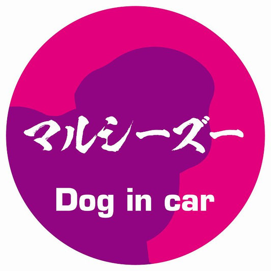 Dog in car マルシーズー 毛筆書体 ピンクパープル ステッカー 直径10cm 丸型 シール カーステッカー