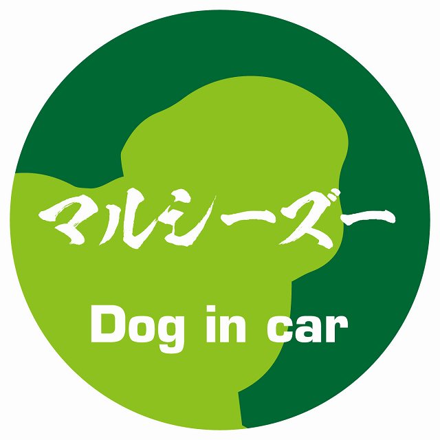 Dog in car マルシーズー 毛筆書体 グリーン ステッカー 直径10cm 丸型 シール カーステッカー