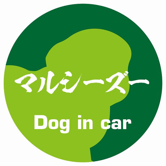 Dog in car マルシーズー 毛筆書体 グリーン ステッカー 直径10cm 丸型 シール カーステッカー