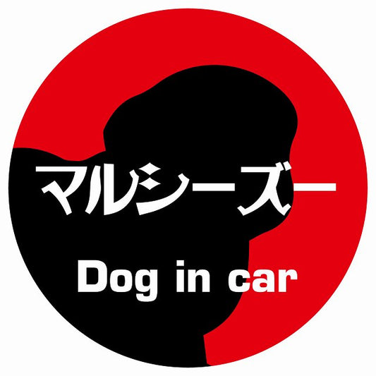Dog in car マルシーズー レトロ書体 レッド ステッカー 直径10cm 丸型 シール カーステッカー