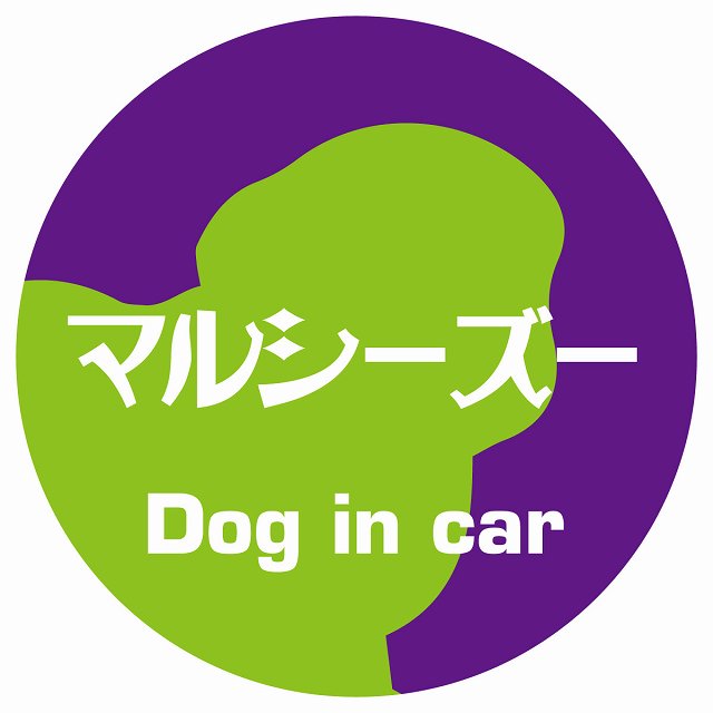 Dog in car マルシーズー レトロ書体 パープルグリーン ステッカー 直径10cm 丸型 シール カーステッカー