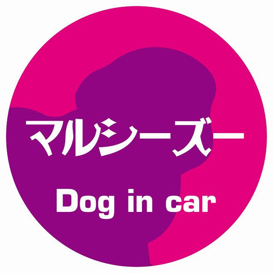 Dog in car マルシーズー レトロ書体 ピンクパープル ステッカー 直径10cm 丸型 シール カーステッカー