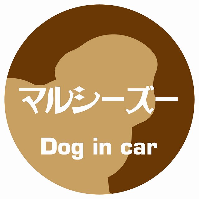 Dog in car マルシーズー レトロ書体 ブラウン ステッカー 直径10cm 丸型 シール カーステッカー