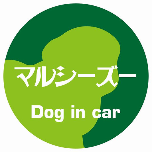 Dog in car マルシーズー レトロ書体 グリーン ステッカー 直径10cm 丸型 シール カーステッカー