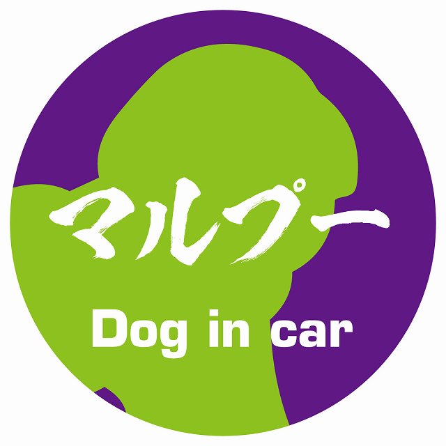 Dog in car マルプー 毛筆書体 パープルグリーン ステッカー 直径10cm 丸型 シール カーステッカー