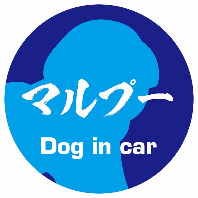 Dog in car マルプー 毛筆書体 ブルー ステッカー 直径10cm 丸型 シール カーステッカー