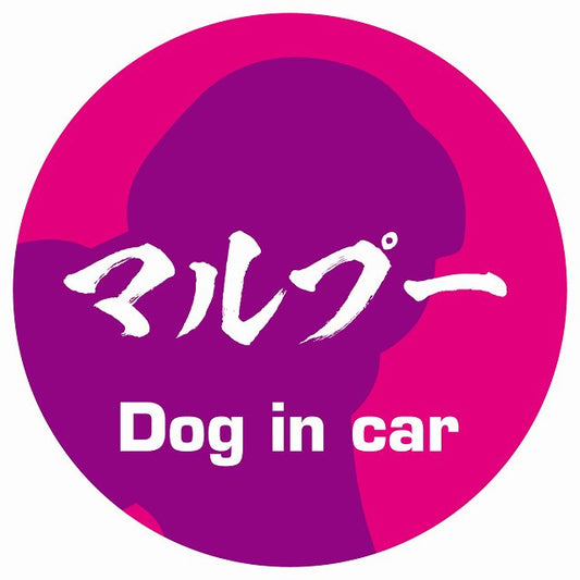 Dog in car マルプー 毛筆書体 ピンクパープル ステッカー 直径10cm 丸型 シール カーステッカー