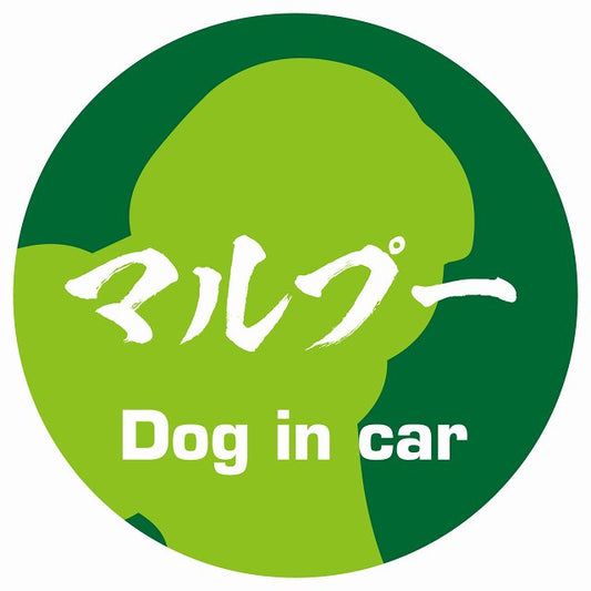 Dog in car マルプー 毛筆書体 グリーン ステッカー 直径10cm 丸型 シール カーステッカー