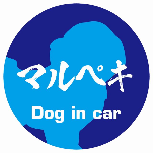Dog in car マルペキ 毛筆書体 ブルー ステッカー 直径10cm 丸型 シール カーステッカー