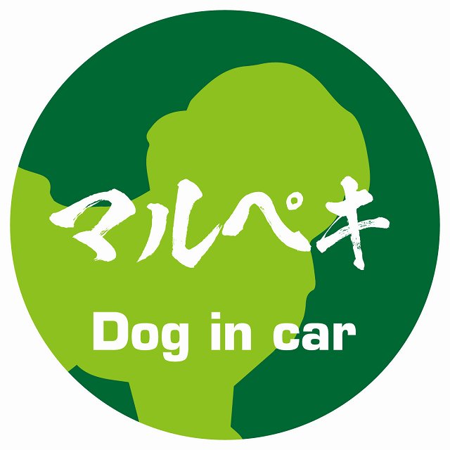 Dog in car マルペキ 毛筆書体 グリーン ステッカー 直径10cm 丸型 シール カーステッカー