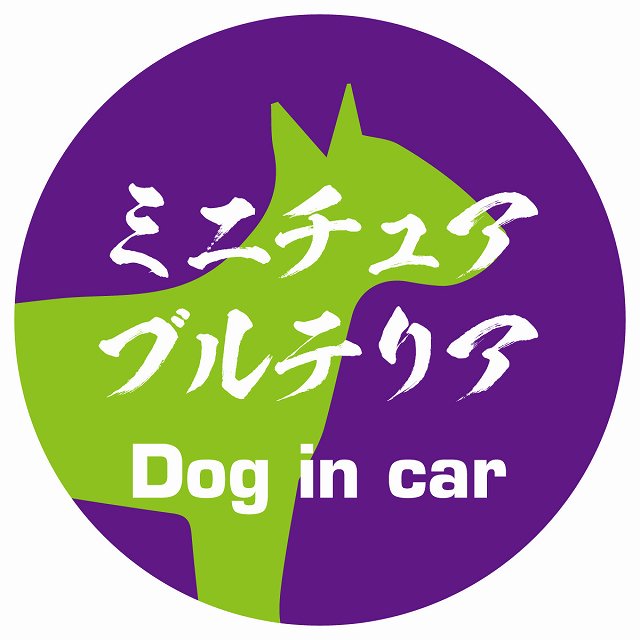 Dog in car ミニチュアブルテリア 毛筆書体 パープルグリーン ステッカー 直径10cm 丸型 シール カーステッカー
