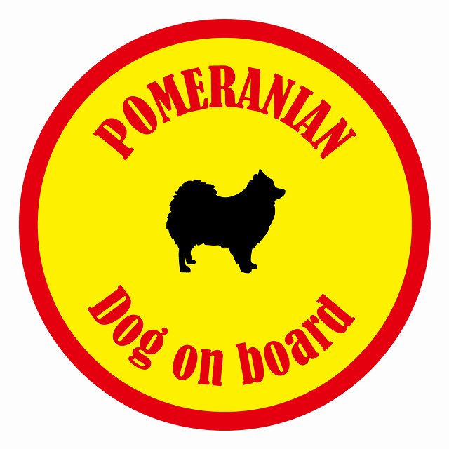 Dog on board カラフル ポメラニアン イエロー＆レッド 直径13cm 丸型 シール カーステッカー