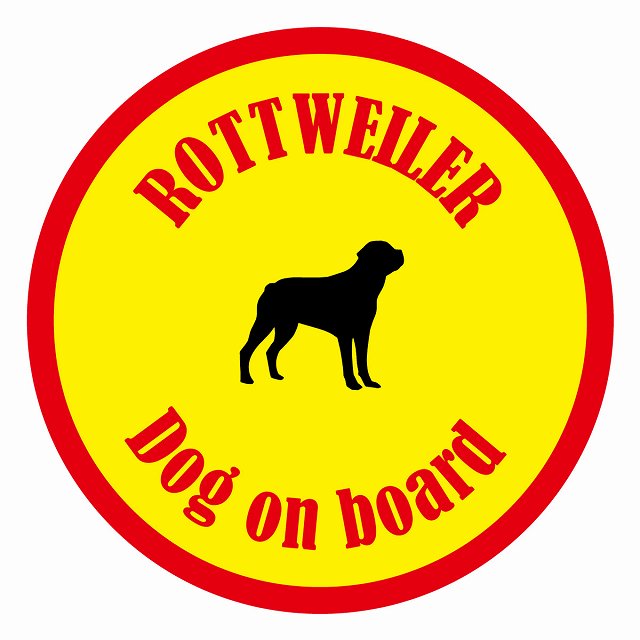 Dog on board カラフル ロットワイラー イエロー＆レッド 直径13cm 丸型 シール カーステッカー