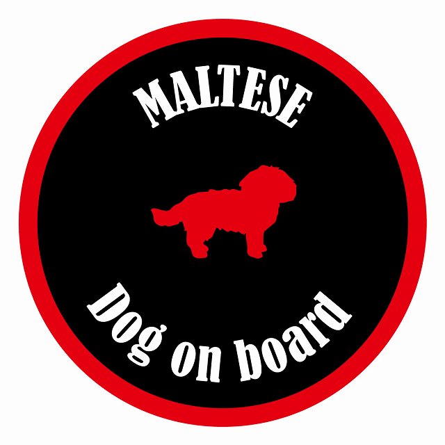 Dog on board カラフル マルチーズ ブラック＆レッド 直径13cm 丸型 シール カーステッカー
