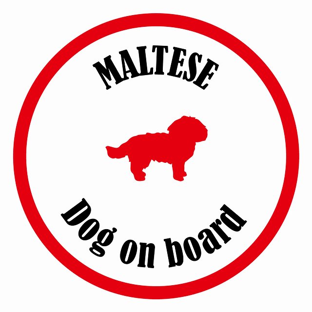 Dog on board カラフル マルチーズ ホワイト＆レッド 直径13cm 丸型 シール カーステッカー