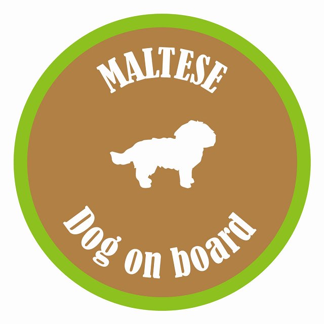 Dog on board カラフル マルチーズ ブラウン＆グリーン 直径13cm 丸型 シール カーステッカー