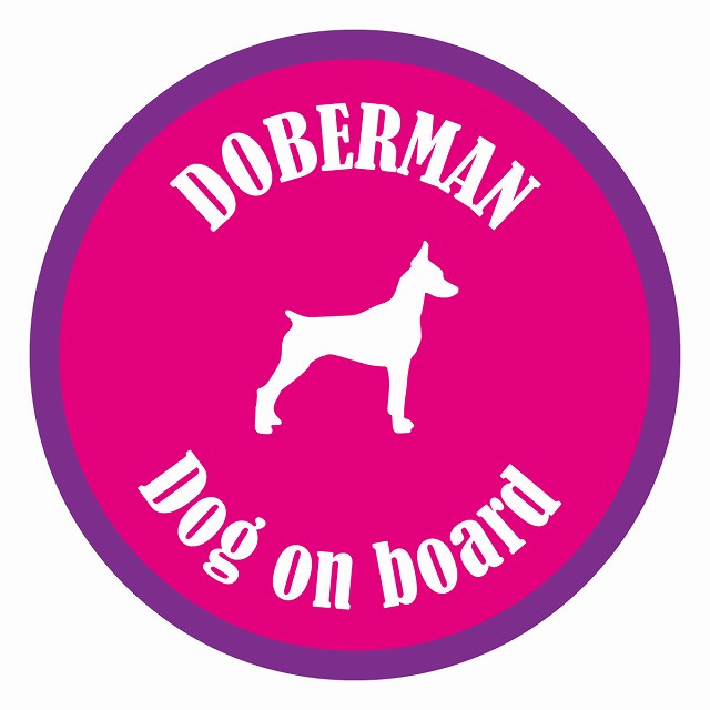 Dog on board カラフル ドーベルマン ピンク＆パープル 直径13cm 丸型 シール カーステッカー