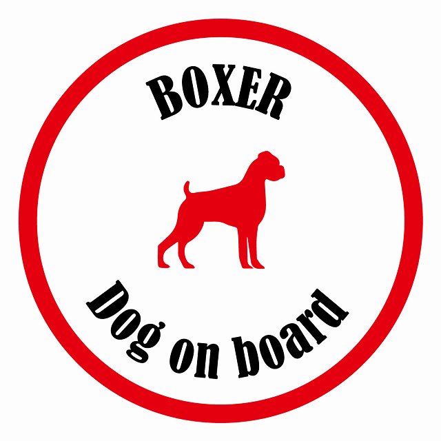 Dog on board カラフル ボクサー ホワイト＆レッド 直径13cm 丸型 シール カーステッカー
