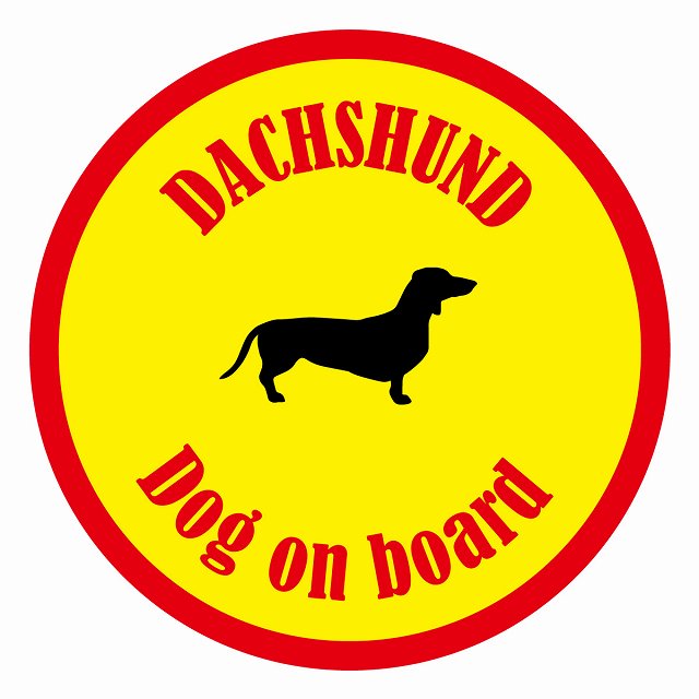 Dog on board カラフル ダックスフント イエロー＆レッド 直径13cm 丸型 シール カーステッカー