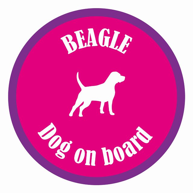 Dog on board カラフル ビーグル ピンク＆パープル 直径13cm 丸型 シール カーステッカー