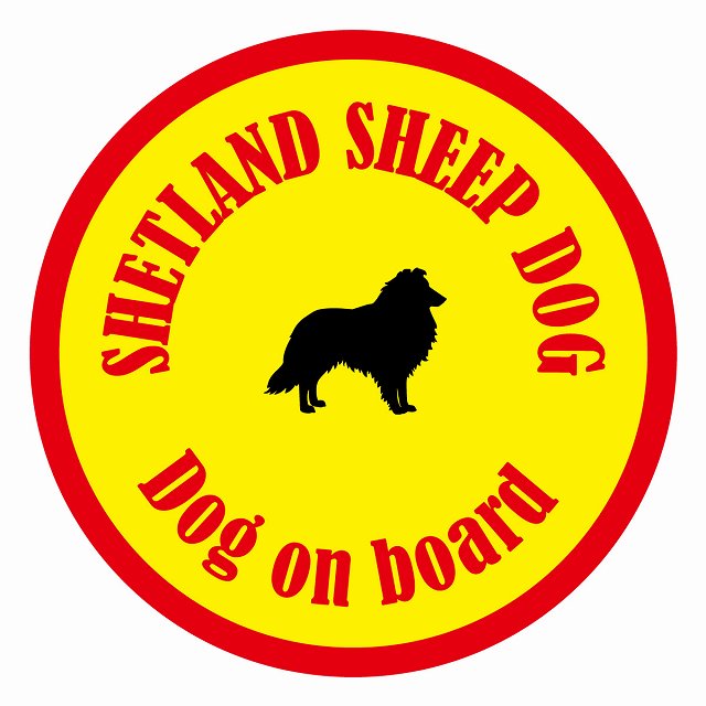 Dog on board カラフル シェットランドシープドッグ イエロー＆レッド 直径13cm 丸型 シール カーステッカー