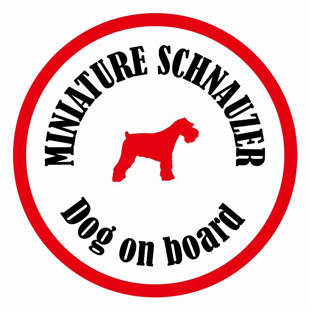 Dog on board カラフル ミニチュアシュナウザー ホワイト＆レッド 直径13cm 丸型 シール カーステッカー