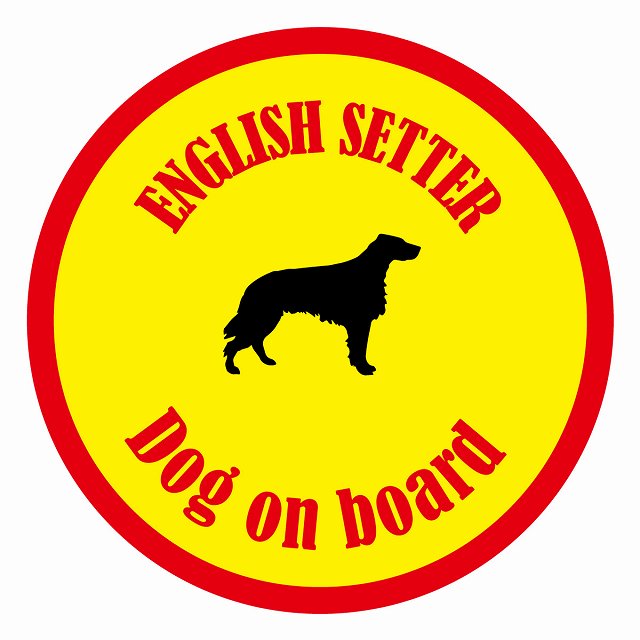Dog on board カラフル イングリッシュセター イエロー＆レッド 直径13cm 丸型 シール カーステッカー