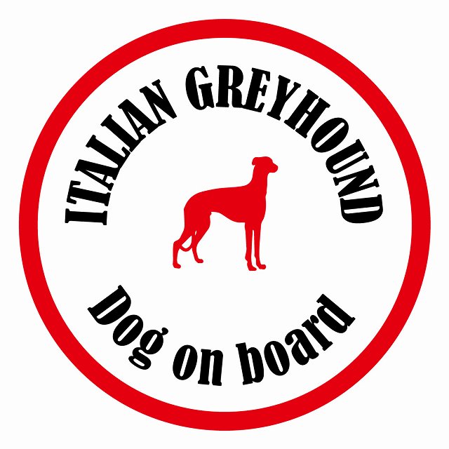 Dog on board カラフル イタリアングレーハウンド ホワイト＆レッド 直径13cm 丸型 シール カーステッカー