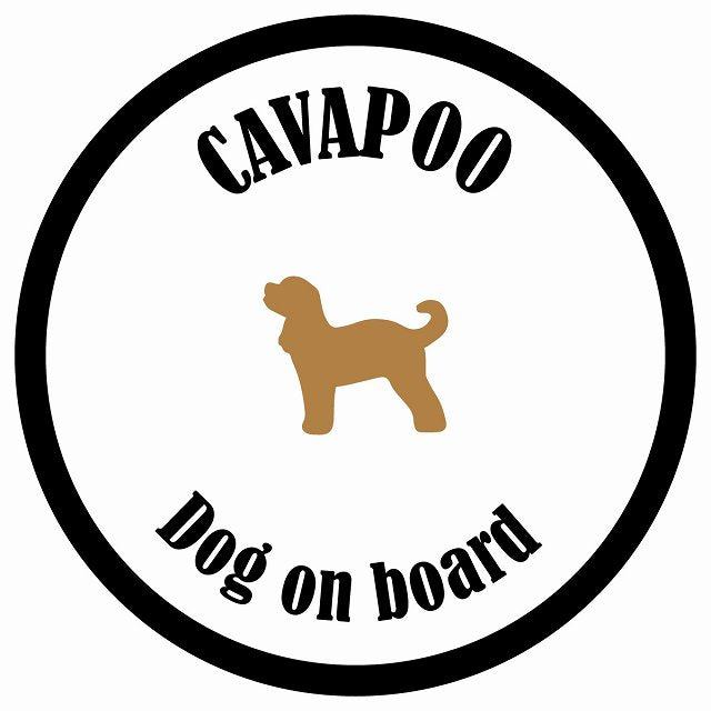 カラフル Dog on board 丸型 キャバプー ホワイト&ブラック 直径13cm シール カーステッカー