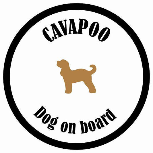 カラフル Dog on board 丸型 キャバプー ホワイト&ブラック 直径13cm シール カーステッカー