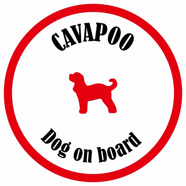 カラフル Dog on board 丸型 キャバプー ホワイト&レッド 直径13cm シール カーステッカー