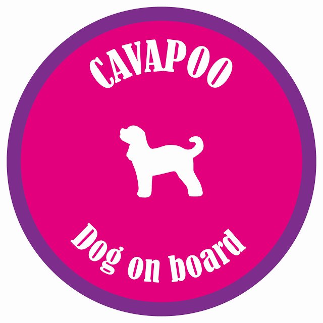 カラフル Dog on board 丸型 キャバプー ピンク&パープル 直径13cm シール カーステッカー